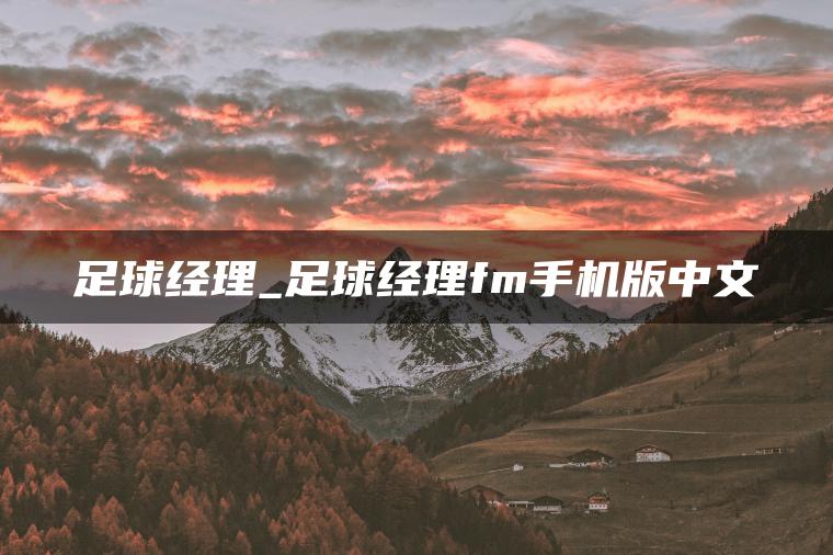 足球经理_足球经理fm手机版中文