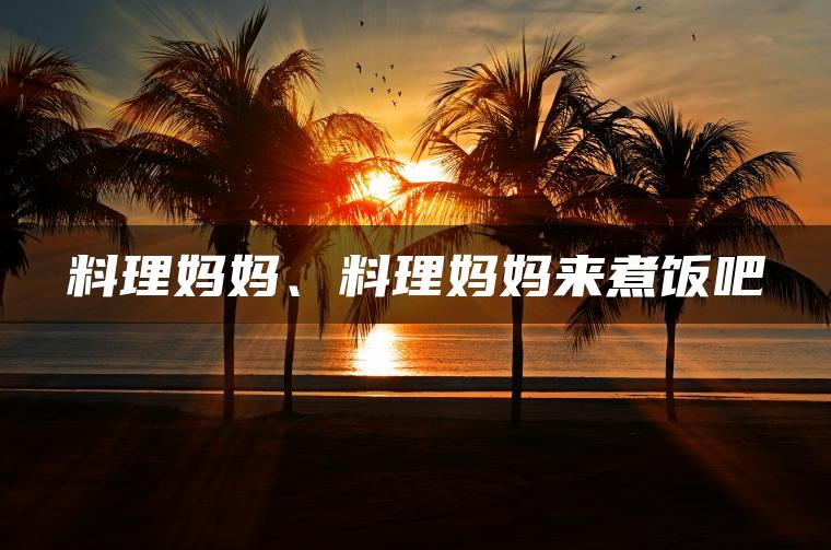 料理妈妈、料理妈妈来煮饭吧