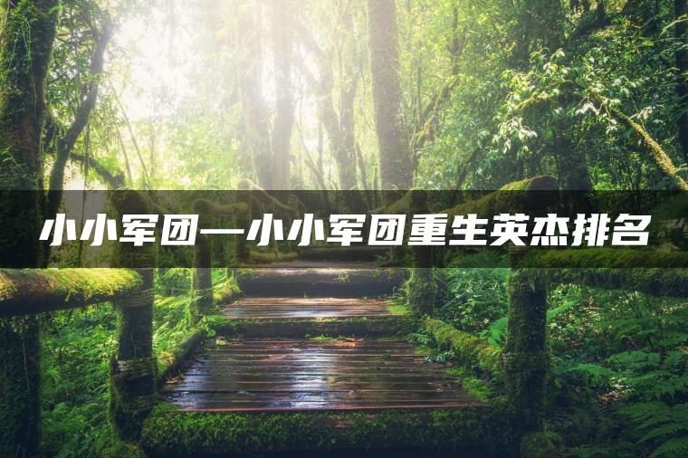 小小军团—小小军团重生英杰排名