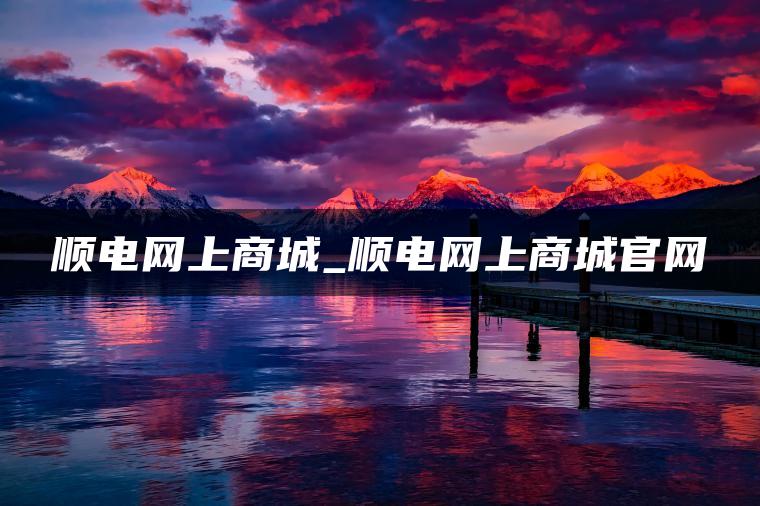 顺电网上商城_顺电网上商城官网