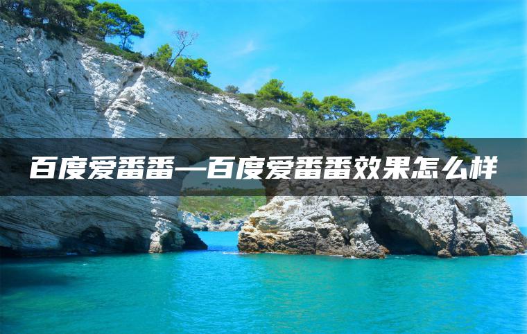 百度爱番番—百度爱番番效果怎么样