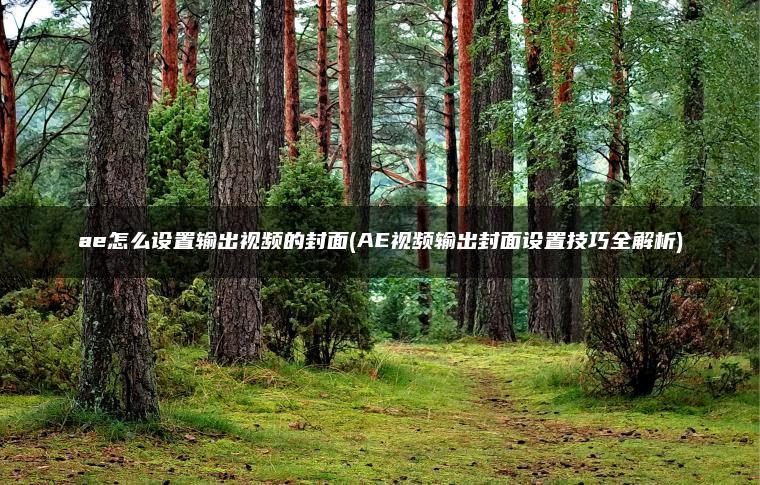 ae怎么设置输出视频的封面(AE视频输出封面设置技巧全解析)