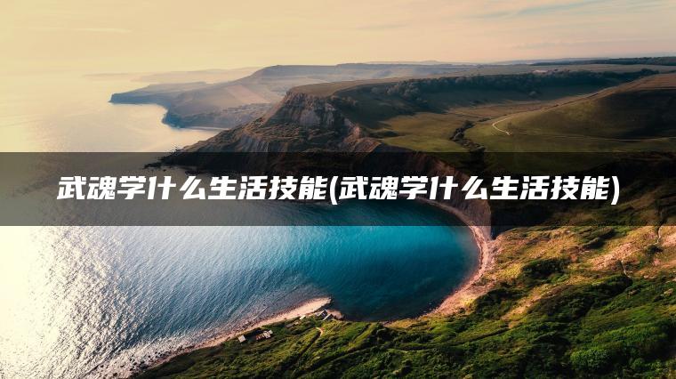 武魂学什么生活技能(武魂学什么生活技能)