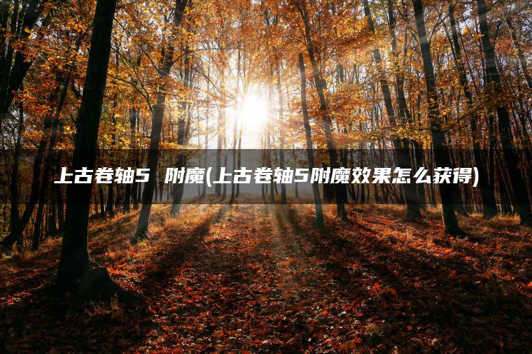 上古卷轴5 附魔(上古卷轴5附魔效果怎么获得)