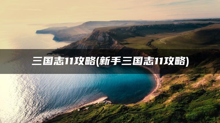 三国志11攻略(新手三国志11攻略)