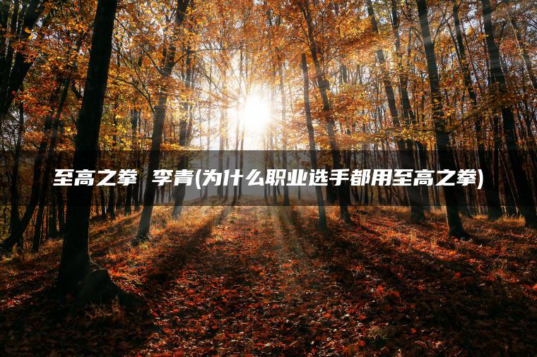 至高之拳 李青(为什么职业选手都用至高之拳)