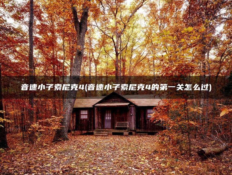 音速小子索尼克4(音速小子索尼克4的第一关怎么过)