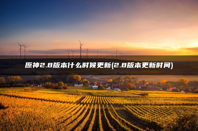 原神2.8版本什么时候更新(2.8版本更新时间)