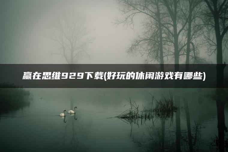 赢在思维929下载(好玩的休闲游戏有哪些)