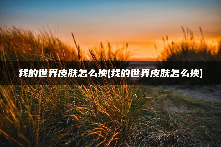 我的世界皮肤怎么换(我的世界皮肤怎么换)