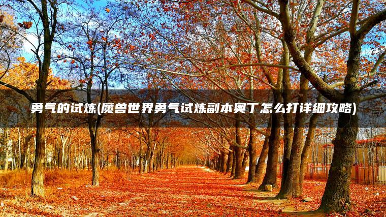 勇气的试炼(魔兽世界勇气试炼副本奥丁怎么打详细攻略)
