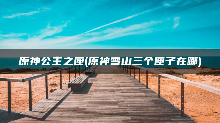 原神公主之匣(原神雪山三个匣子在哪)