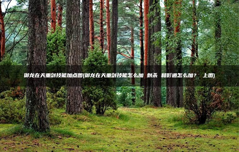 御龙在天重剑技能加点图(御龙在天重剑技能怎么加 刺杀 和影遁怎么加？ 上图)