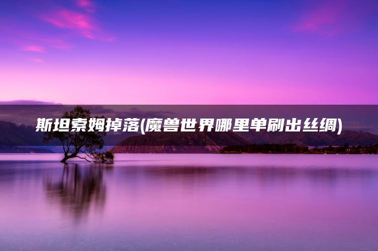 斯坦索姆掉落(魔兽世界哪里单刷出丝绸)