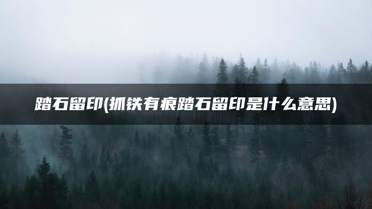 踏石留印(抓铁有痕踏石留印是什么意思)
