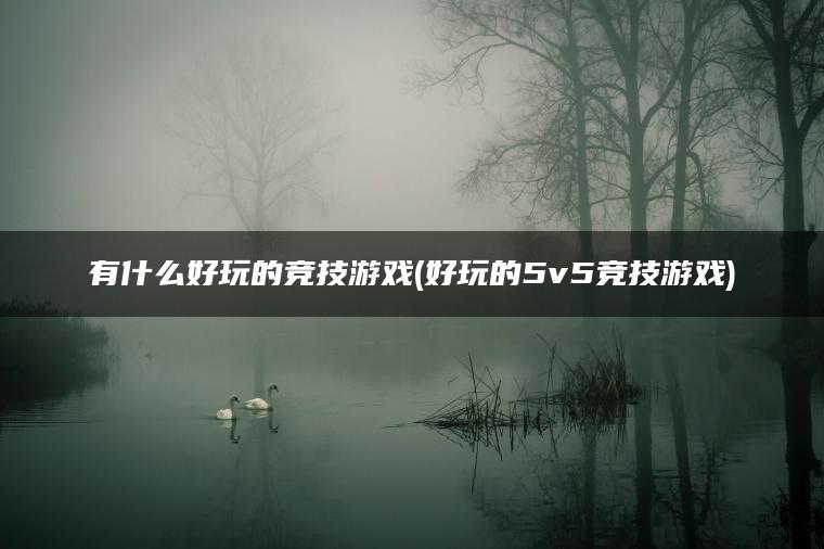 有什么好玩的竞技游戏(好玩的5v5竞技游戏)