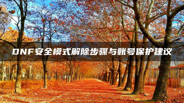 图片[1] | DNF安全模式解除步骤与账号保护建议 | ae插件合集