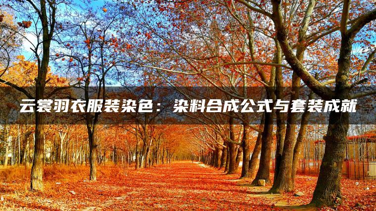 云裳羽衣服装染色：染料合成公式与套装成就