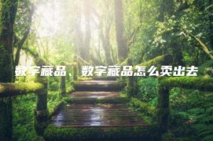数字藏品、数字藏品怎么卖出去 | ae插件合集