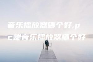 音乐播放器哪个好,pc端音乐播放器哪个好 | ae插件合集