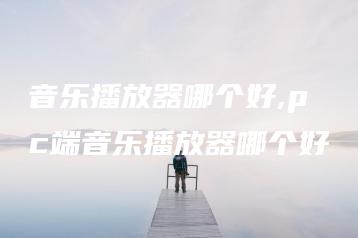 音乐播放器哪个好,pc端音乐播放器哪个好 | ae插件合集