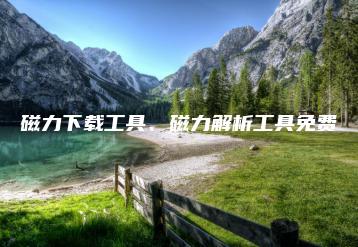 磁力下载工具、磁力解析工具免费 | ae插件合集