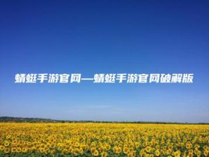 蜻蜓手游官网—蜻蜓手游官网破解版 | ae插件合集