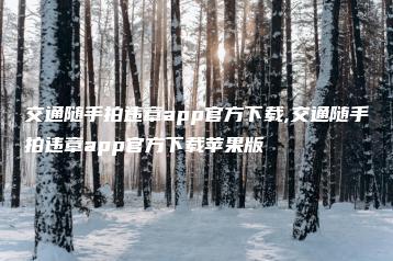 交通随手拍违章app官方下载,交通随手拍违章app官方下载苹果版 | ae插件合集