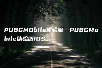 PUBGMObile体验服—PUBGMobile体验服IOS | ae插件合集