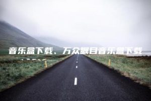 音乐盒下载、万众瞩目音乐盒下载 | ae插件合集
