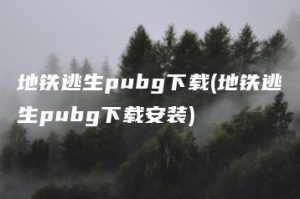 地铁逃生pubg下载(地铁逃生pubg下载安装) | ae插件合集