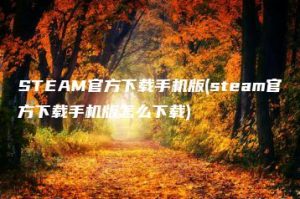 STEAM官方下载手机版(steam官方下载手机版怎么下载) | ae插件合集
