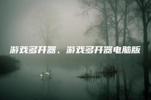游戏多开器、游戏多开器电脑版 | ae插件合集