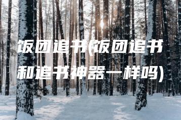 饭团追书(饭团追书和追书神器一样吗) | ae插件合集