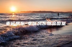 幸运房东-幸运房东物品图鉴 | ae插件合集