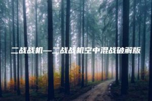 二战战机—二战战机空中混战破解版 | ae插件合集