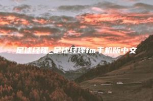 足球经理_足球经理fm手机版中文 | ae插件合集