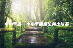 小小军团—小小军团重生英杰排名 | ae插件合集
