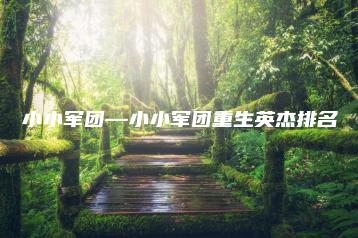 小小军团—小小军团重生英杰排名 | ae插件合集