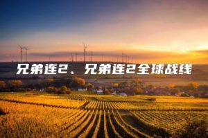 兄弟连2、兄弟连2全球战线 | ae插件合集