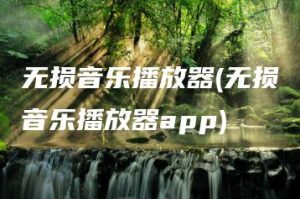无损音乐播放器(无损音乐播放器app) | ae插件合集