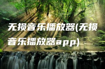 无损音乐播放器(无损音乐播放器app) | ae插件合集