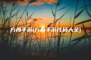 方舟手游(方舟手游代码大全) | ae插件合集
