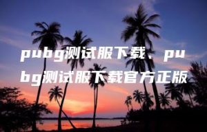 pubg测试服下载、pubg测试服下载官方正版 | ae插件合集