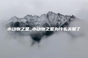 小动物之星_小动物之星为什么关服了 | ae插件合集