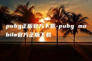 pubg正版官方下载-pubg mobile官方正版下载 | ae插件合集