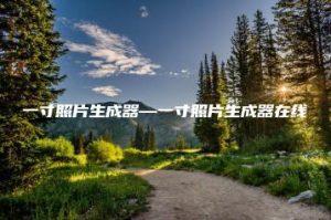 一寸照片生成器—一寸照片生成器在线 | ae插件合集