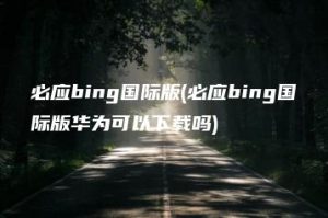 必应bing国际版(必应bing国际版华为可以下载吗) | ae插件合集