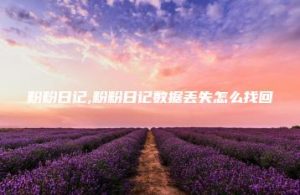 粉粉日记,粉粉日记数据丢失怎么找回 | ae插件合集