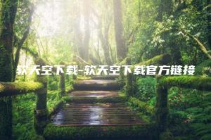 软天空下载-软天空下载官方链接 | ae插件合集